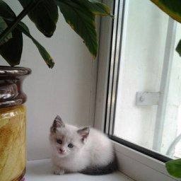 Нина S Нина S