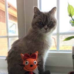 Моя вязаная жизнь