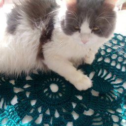 Салфетки, скатерти