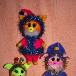 Свиногномики