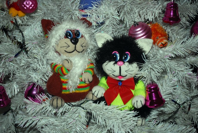 Праздничные котики Праздничные котики