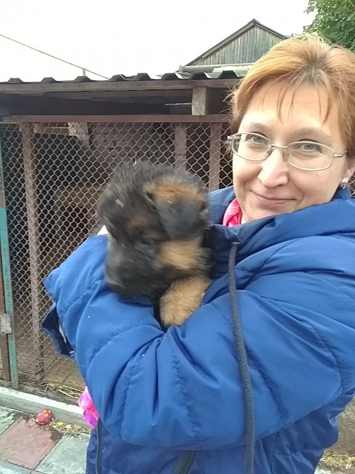 Мой БОСС! Мой БОСС!