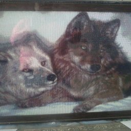 вышивка алмазная выкладка