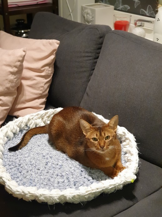 Корзины для котов. Корзины для котов.