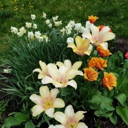 Моя слабость...