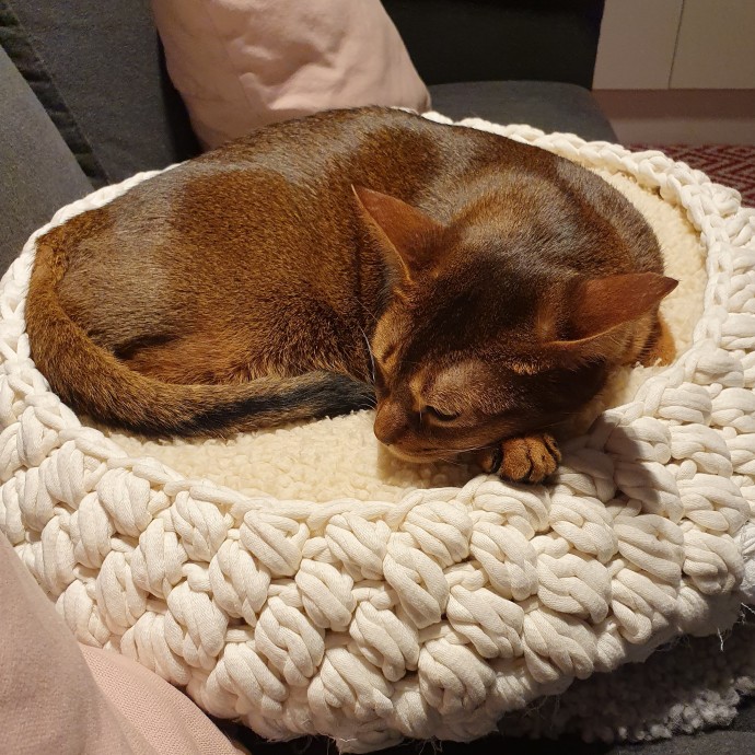 Корзины для котов. Корзины для котов.