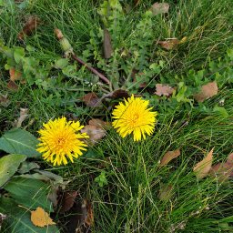 Комплект для младенца.