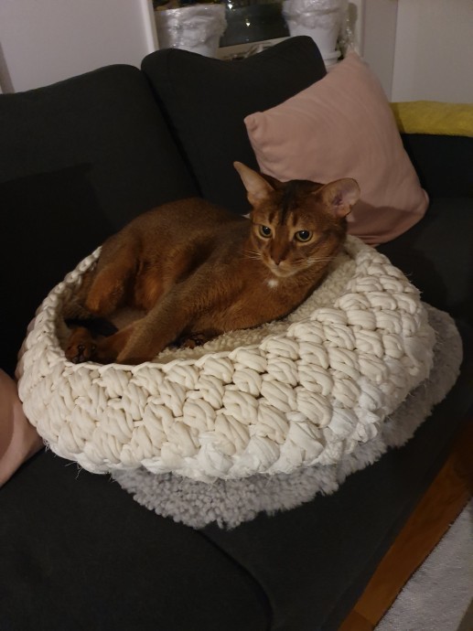 Корзины для котов. Корзины для котов.