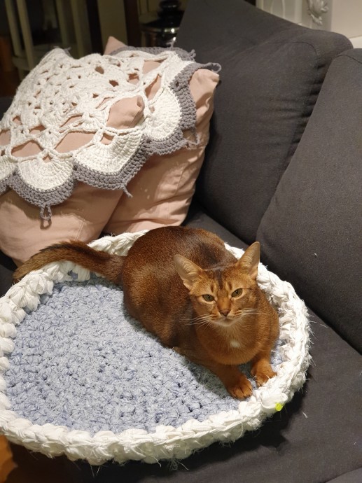 Корзины для котов. Корзины для котов.