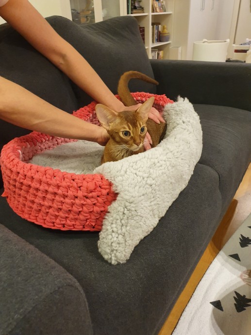 Корзины для котов. Корзины для котов.