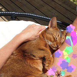 Хорошая погода не каждый день!