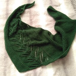 Бактус, подсмотренный на нашем сайте.