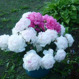 Всех с праздником весны! Последний отчет.