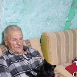 без кота и жизнь не та