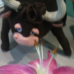 ой, ну самая последняя наверно