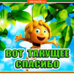 мирилка в садик