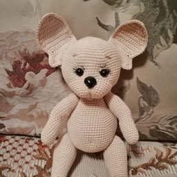 Собачка чихуа в подарок