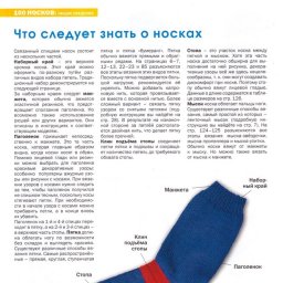 Виды носочных пяток