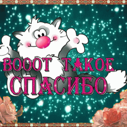 СПАСИБО РЕДАКТОРУ