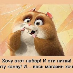 Хомяк хомячит