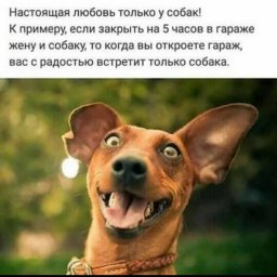 Sveta_mir Sveta_mir