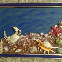 Жители моря