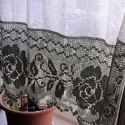 Розы филейка на окне