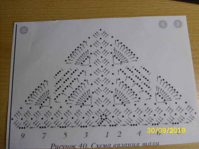 бактус бактус