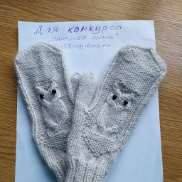 Варежки "Совы"