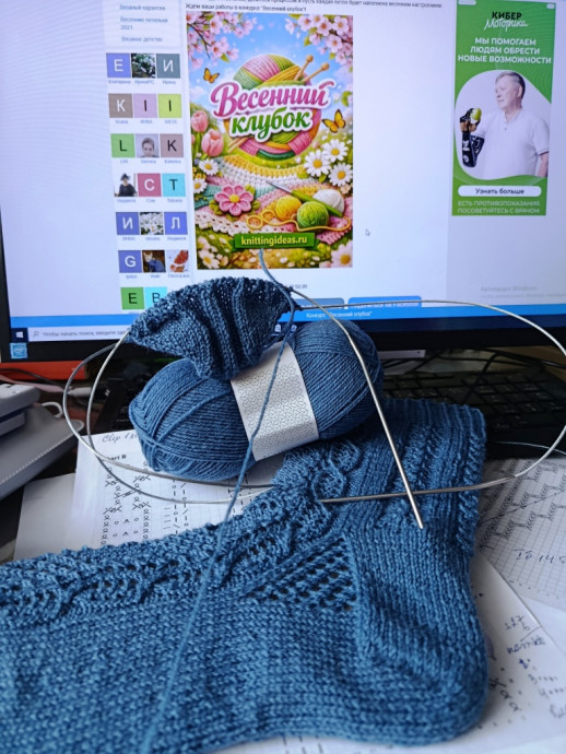 Ажурные носочки Pretty Privilege (привилегия красоты)