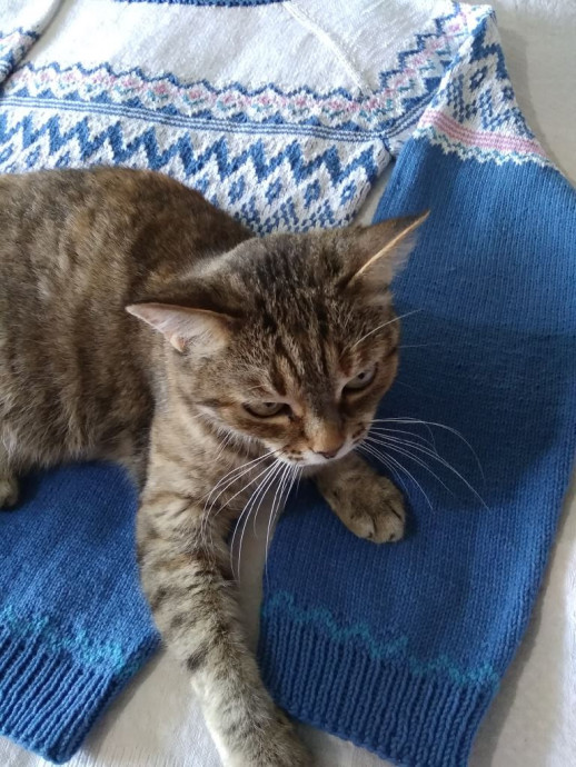 Бело-сине-голубой и немного розового фемели лук