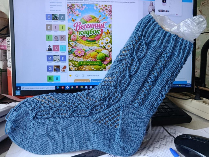 Ажурные носочки Pretty Privilege (привилегия красоты)