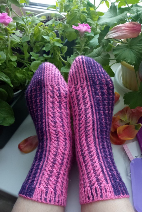 Мои плоды вязания в марафоне sockmadness 2025