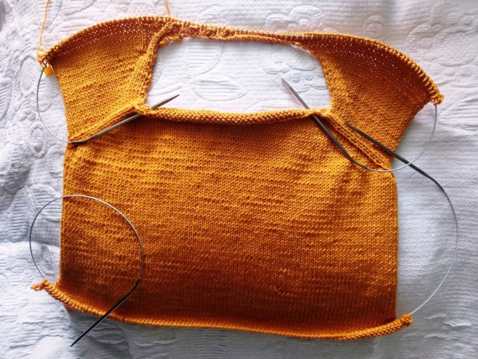 Моя горчица