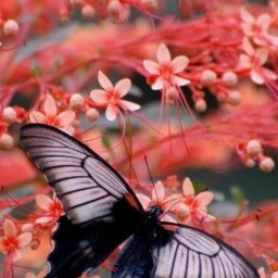 Вяжем малышам