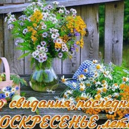 Свитшот для малыша