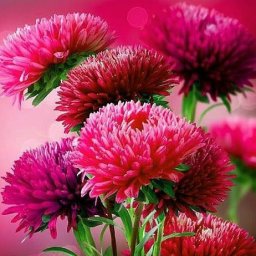 Магия цвета