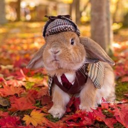 Вязание - моя отдушина !