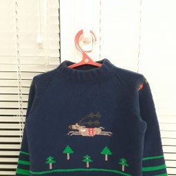 Джемпер для фотосессии.