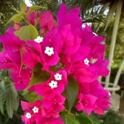 Вязание - моя отдушина