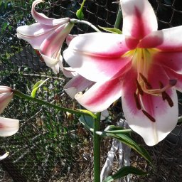 Ах.летооооооооооооо!!!!