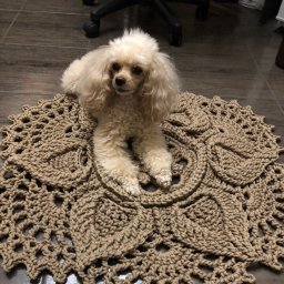 Мои коврики