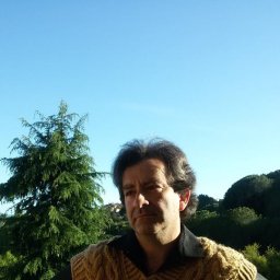 Мужской жилет