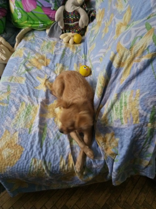 Мое насыщенное утро.. Мое насыщенное утро..