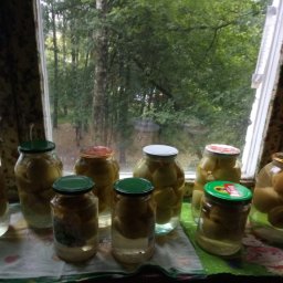 Мое насыщенное утро..