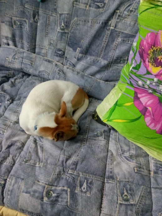 Мое насыщенное утро.. Мое насыщенное утро..