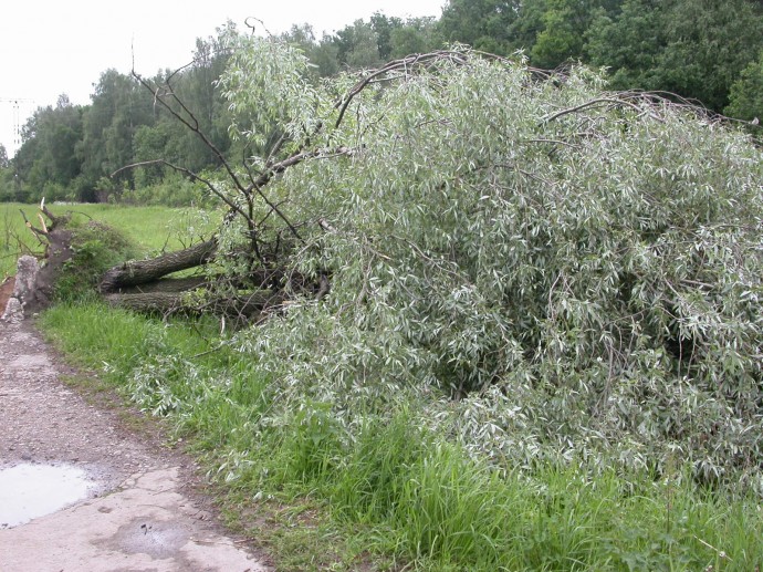 Просторы нашего района.