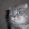 Lisa38 Lisa38