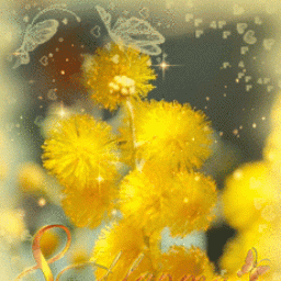 С праздником, дорогие женщины!