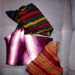 И снова бактусы